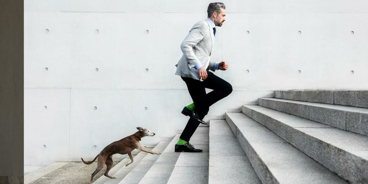 Le dirigeant est tenu à une obligation de loyauté lors de la démission de ses fonctions salariales Pouvoirs et responsabilité des dirigeants et mandataires sociaux Affaires – Éditions Francis Lefebvre Le dirigeant est tenu à une obligation de loyauté lors de la démission de ses fonctions salariales Pouvoirs et responsabilité des dirigeants et mandataires sociaux Affaires - Éditions Francis Lefebvre