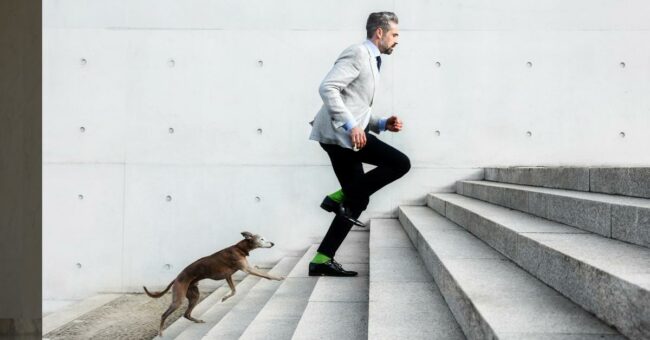 Le dirigeant est tenu à une obligation de loyauté lors de la démission de ses fonctions salariales Pouvoirs et responsabilité des dirigeants et mandataires sociaux Affaires - Éditions Francis Lefebvre