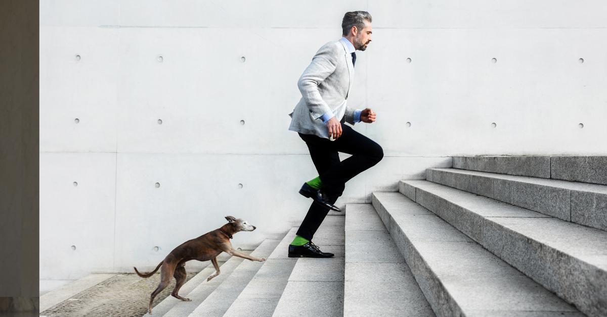 Le dirigeant est tenu à une obligation de loyauté lors de la démission de ses fonctions salariales Pouvoirs et responsabilité des dirigeants et mandataires sociaux Affaires - Éditions Francis Lefebvre