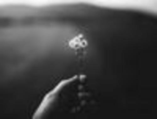 La réparation en nature échappe au contrôle de proportionnalité