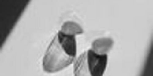 Pauvre débiteur : le créancier hors procédure ne subit pas les affres du temps Pauvre débiteur : le créancier hors procédure ne subit pas les affres du temps